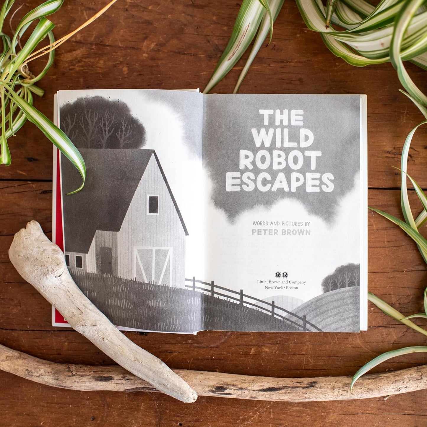 The Wild Robot Books Series Combo By Peter Brown (Hardcover)