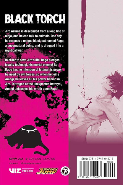 Black Torch Vol. 4 (Manga - English)
