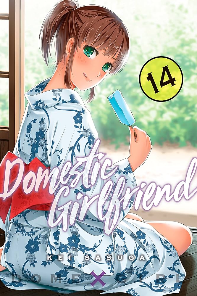 Domestic Girlfriend Vol. 1-20