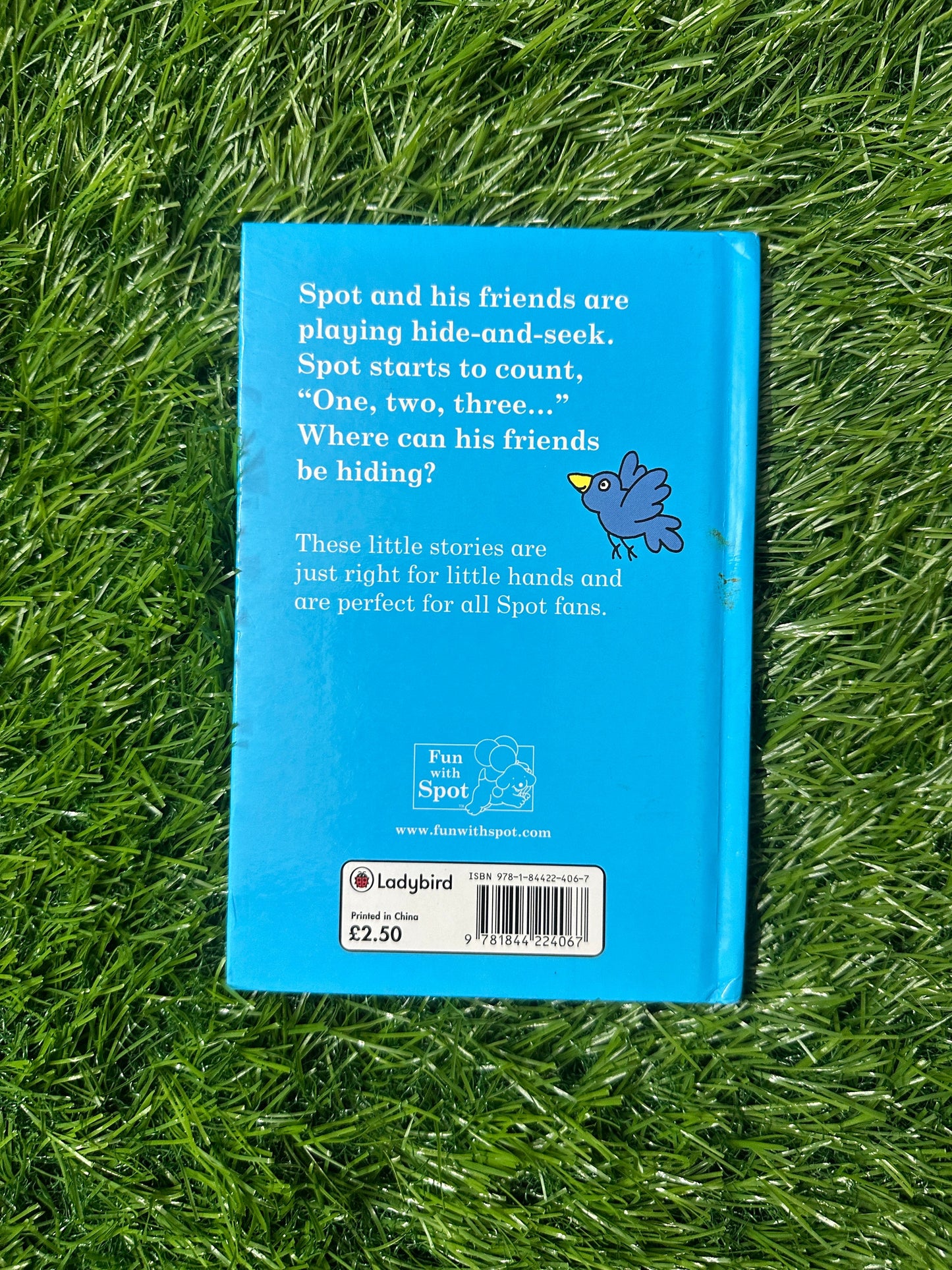 Spot's New Game by Eric Hill