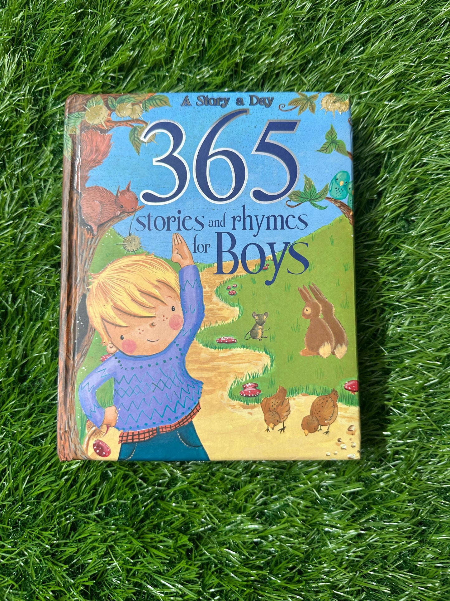 A Story A Day 365 Stories And Rhymes For Boys
