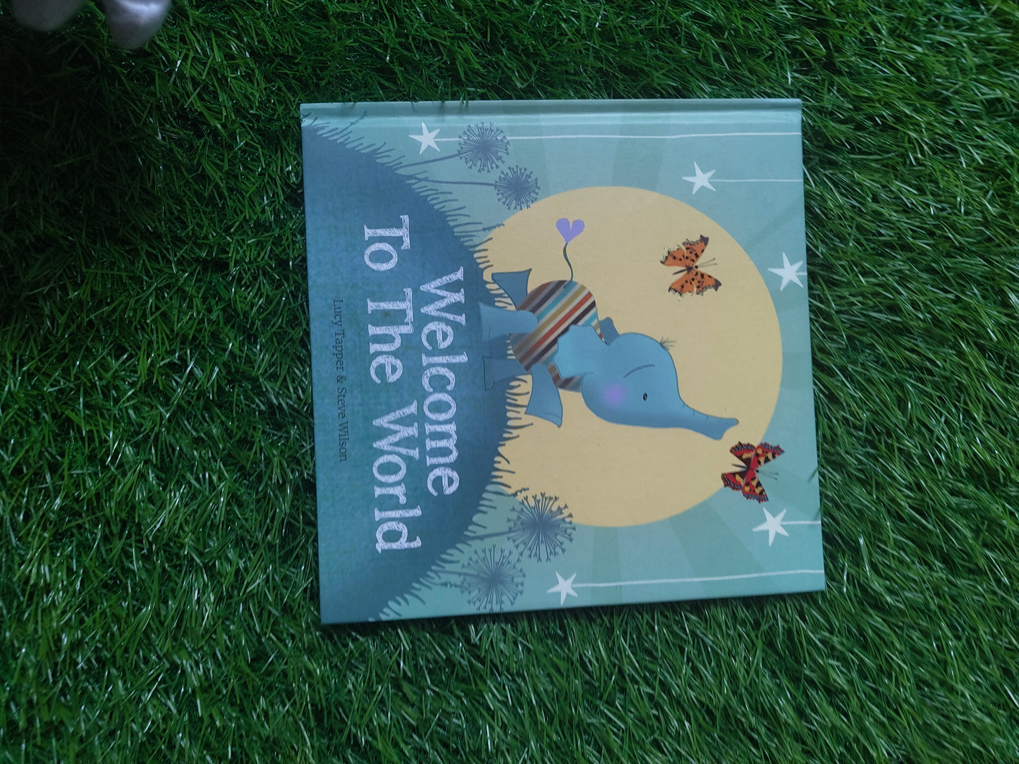 Welcome to the World By Lucy Tapper