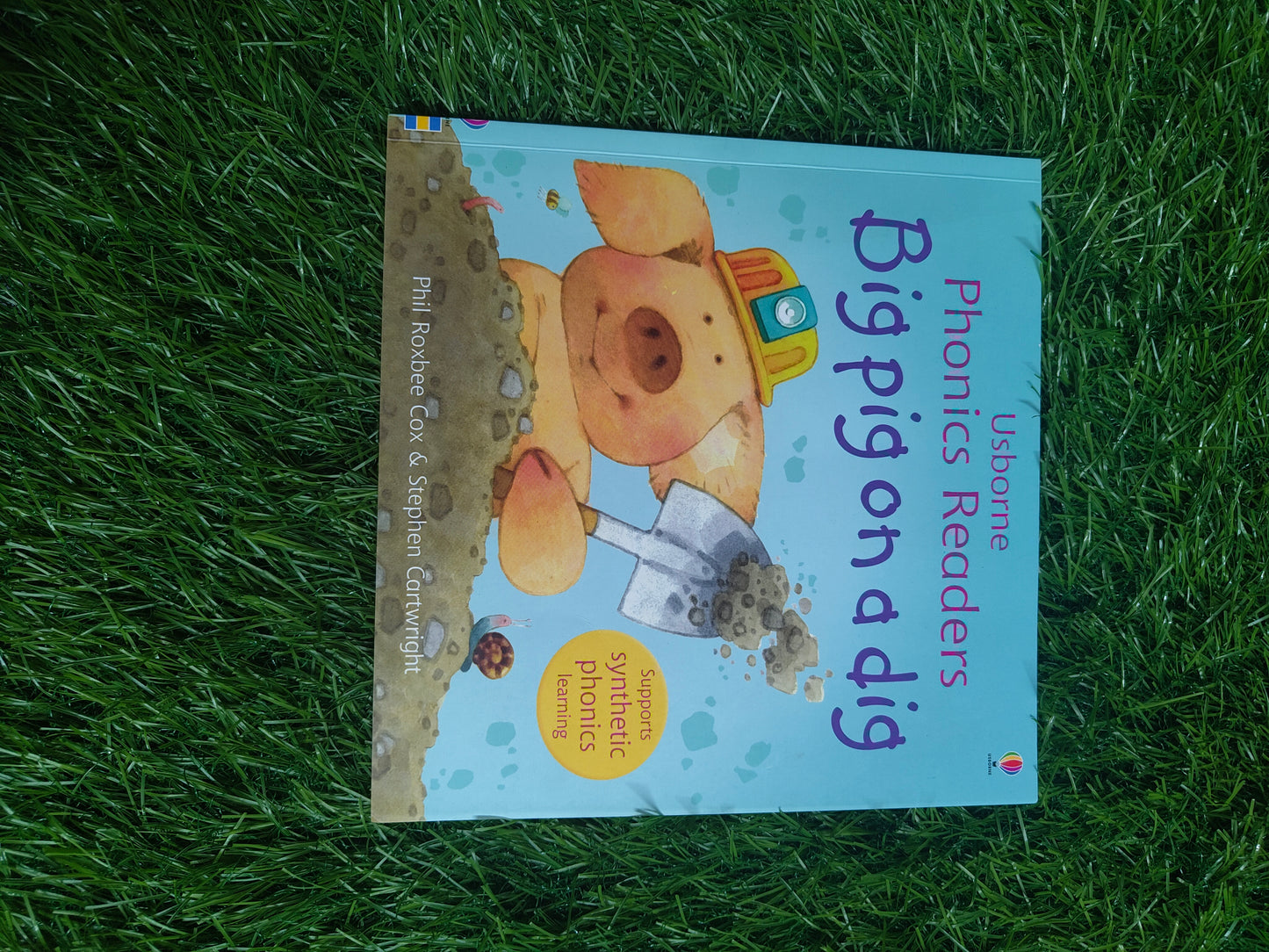 Phonics Big Pig On A Dig by Russell Punter