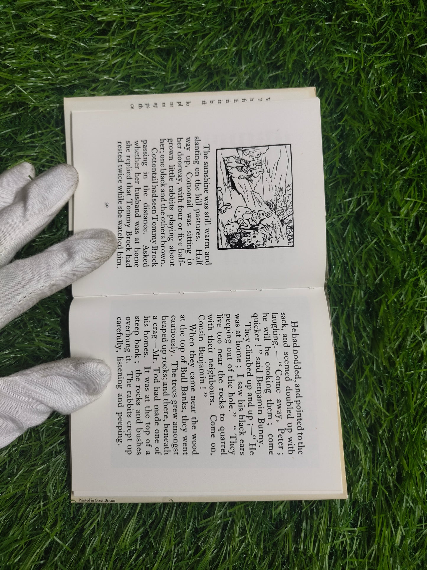 The Tale of Mr. Tod by Beatrix Potter