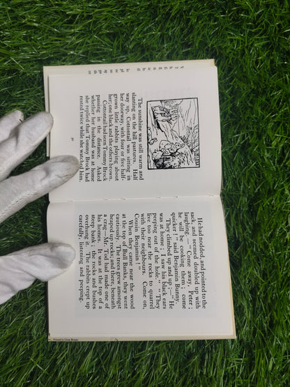 The Tale of Mr. Tod by Beatrix Potter