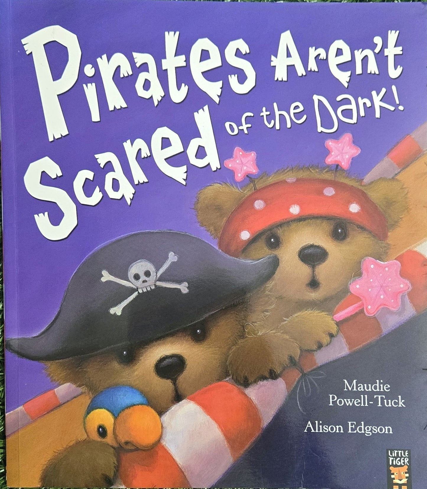 Pirates Aren't Scared of the Dark! by Maudie Powell-Tuck
