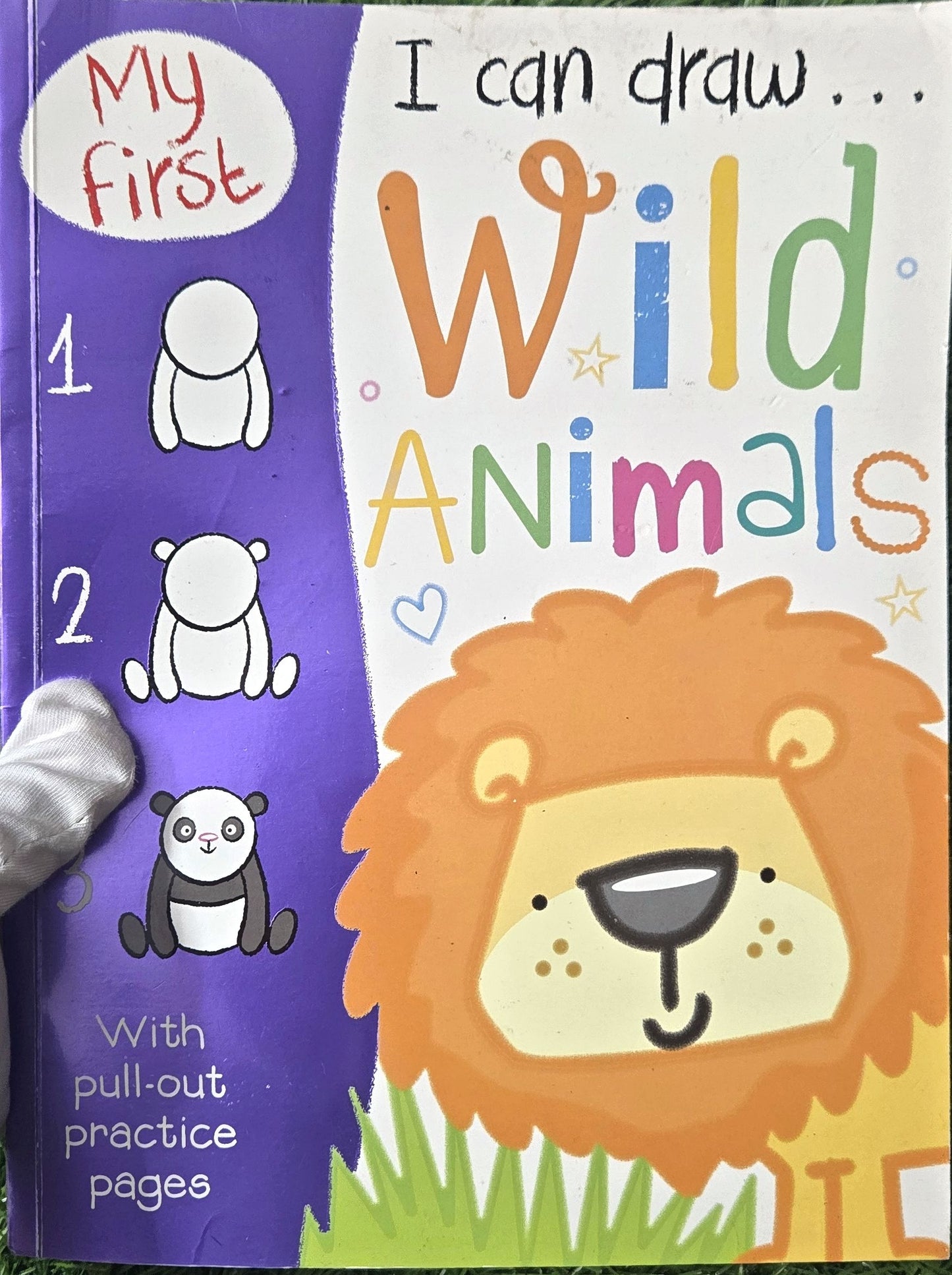 My First I Can Draw Wild Animals