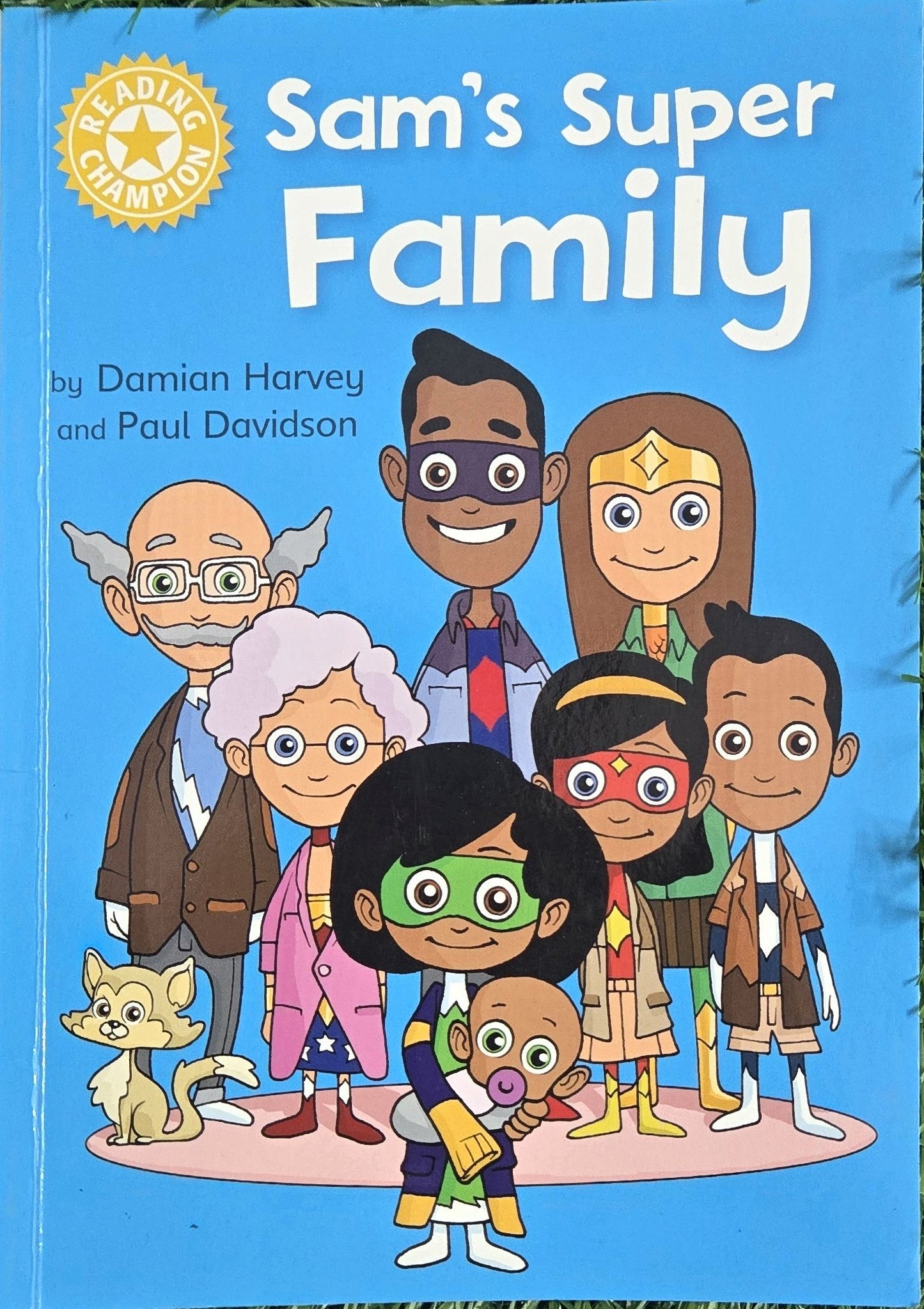 SAM'S SUPER FAMILY by Damian Harvey