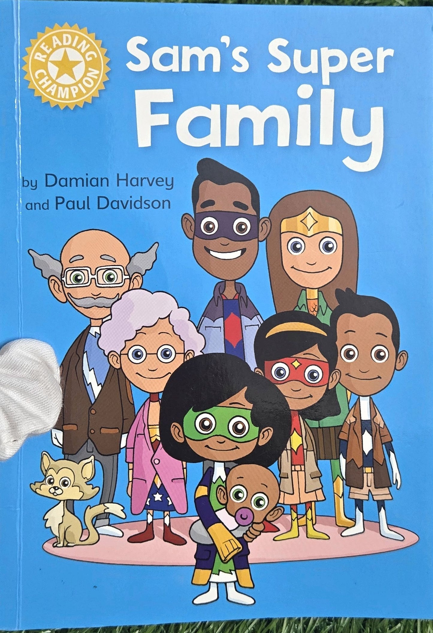 SAM'S SUPER FAMILY by Damian Harvey