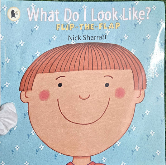 What Do I Look Like? by Nick Sharratt