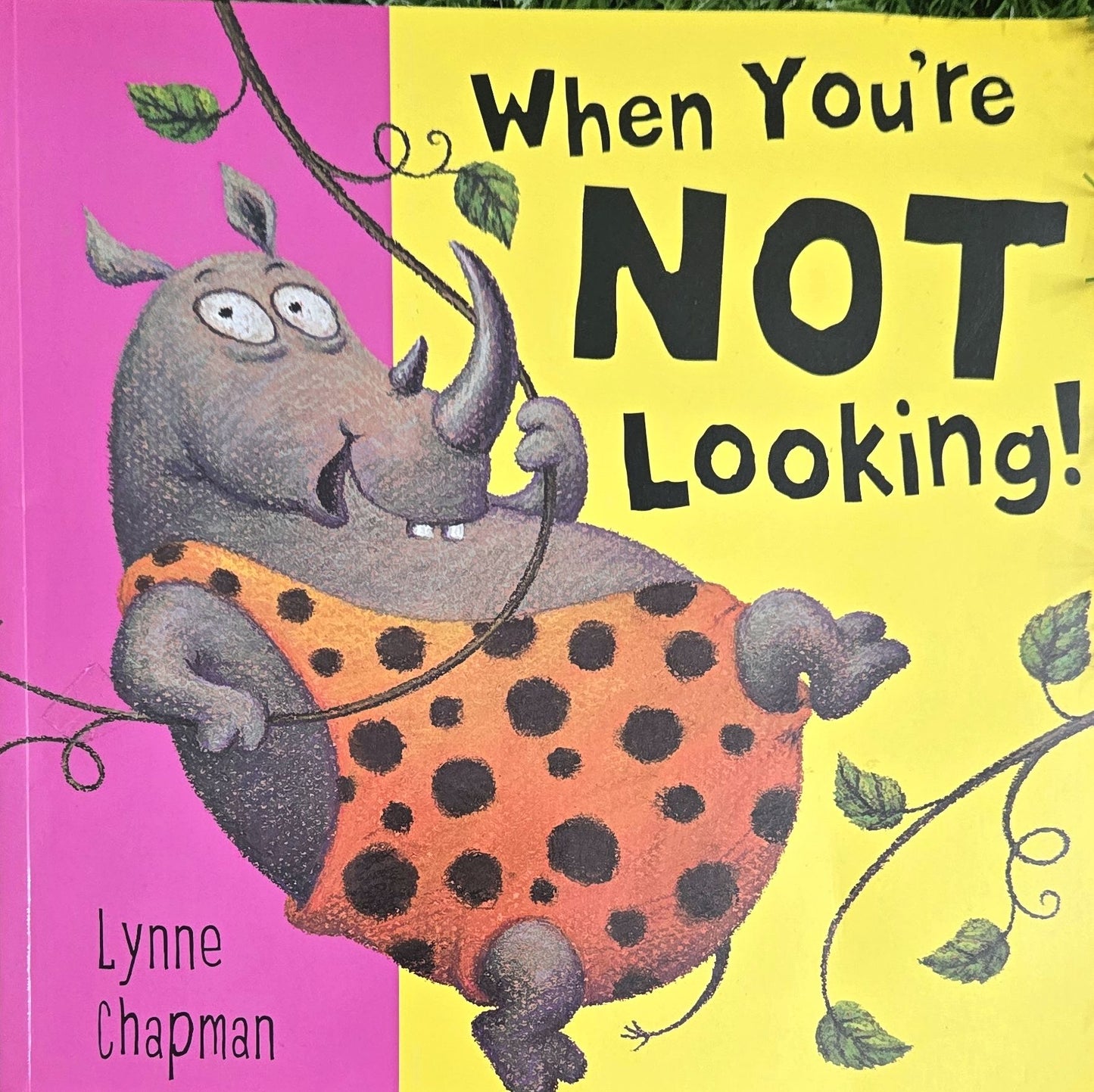 When You're Not Looking By Lynne Chapman
