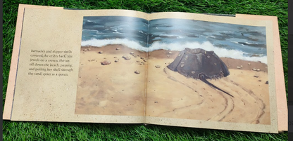 Crab Moon (Read and Wonder) By Ruth Horowitz