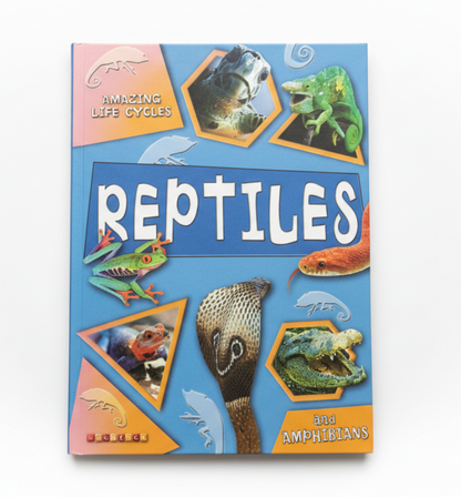 Reptiles and Amphibians : Amazing Life Cycles By Brian Williams (Paperback)