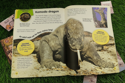 Reptiles and Amphibians : Amazing Life Cycles By Brian Williams (Paperback)