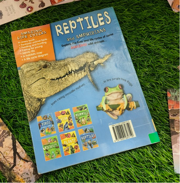Reptiles and Amphibians : Amazing Life Cycles By Brian Williams (Paperback)