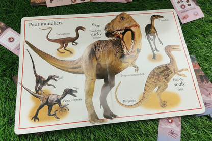 Dinosaur : My First Touch and Feel By Dk  [Board Book]