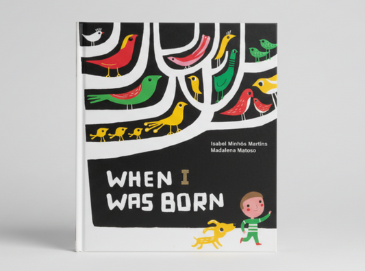When I Was Born By Isobel Minhos Martins (Hardcover)