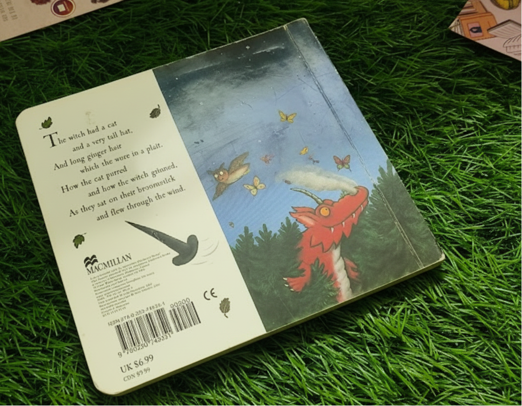 Room on the Broom By Julia Donaldson (Hardcover)