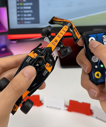 F1 RC Mini Racing Car High Speed Remote Control Drive to Survive