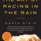 The Art of Racing in the Rain