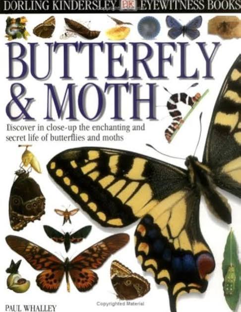 Butterfly & Moth by Paul Ernest Sutton Whalley (Paperback)