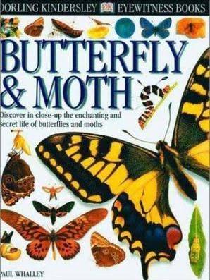 Butterfly & Moth by Paul Ernest Sutton Whalley (Paperback)