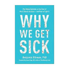 Why We Get Sick By Benjamin Bikman (Paperback)