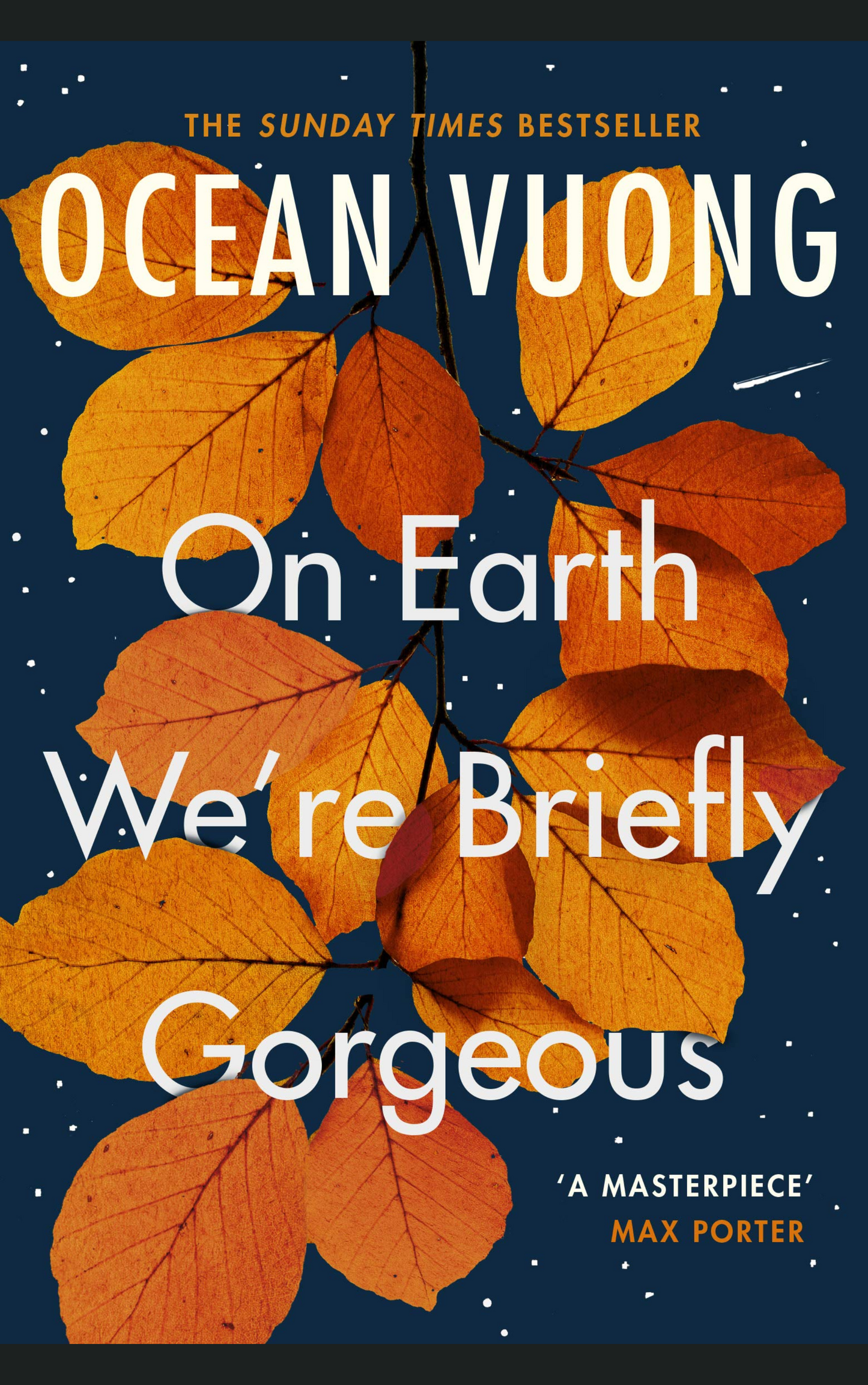ON EARTH WE’RE BRIEFLY GORGEOUS by OCEAN VUONG