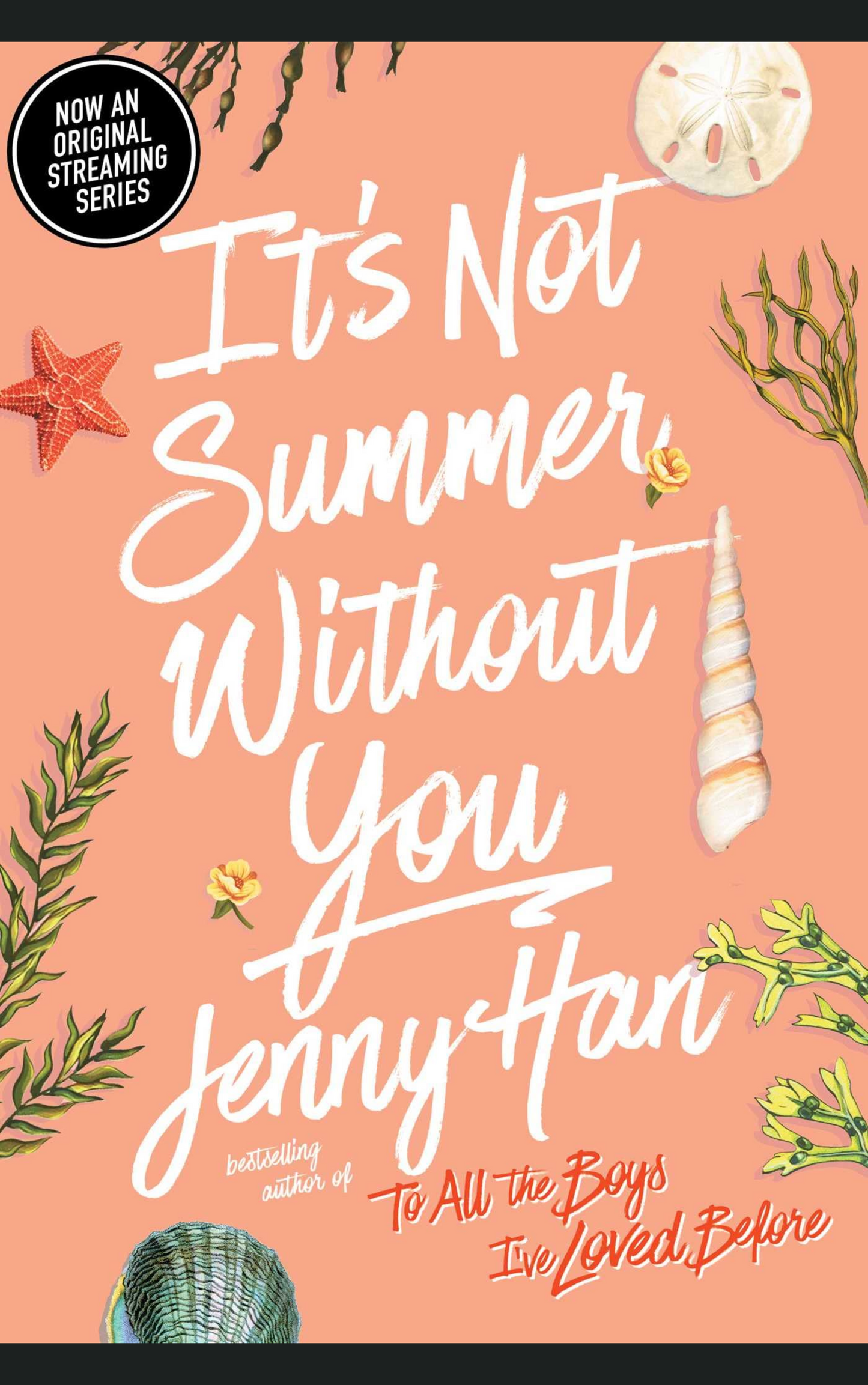 ITS NOT SUMMER WITHOUT YOU by JENNY HAN