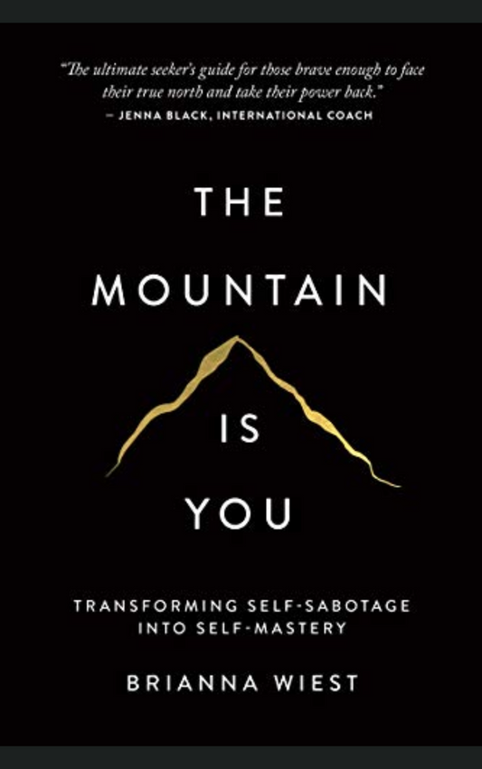 THE MOUNTAIN IS YOU by BRIANNA WIEST